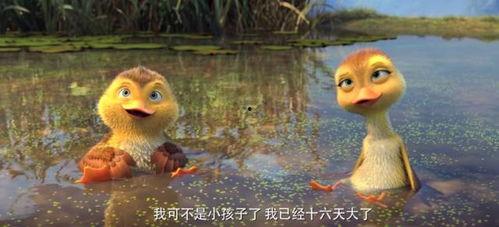 鸭子国产视频,鸭子的趣味生活大揭秘 第3张 鸭子国产视频,鸭子的趣味生活大揭秘 第3张