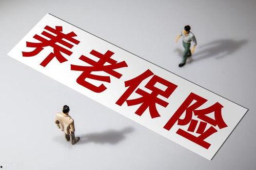 国产毛片久久久久久国产毛片,历史与现状的交织  第1张