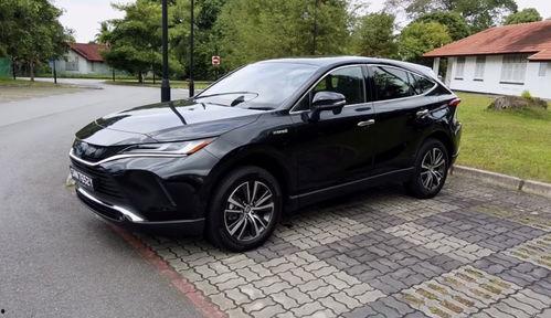 91po国产,揭秘神秘东方古国的历史与文化  第1张